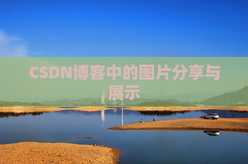 CSDN博客中的图片分享与展示